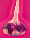 Organic Garlic