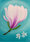  Magnolia Blossom 